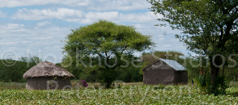 African Streets 04